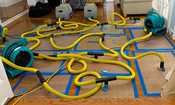 Professional Water Damage Repair technician working in White Castle, LA